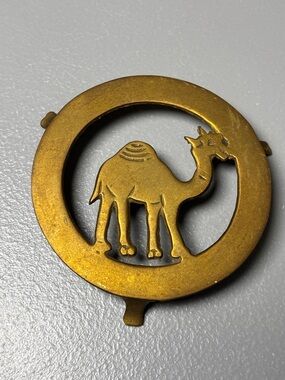Camel Brass Stand India